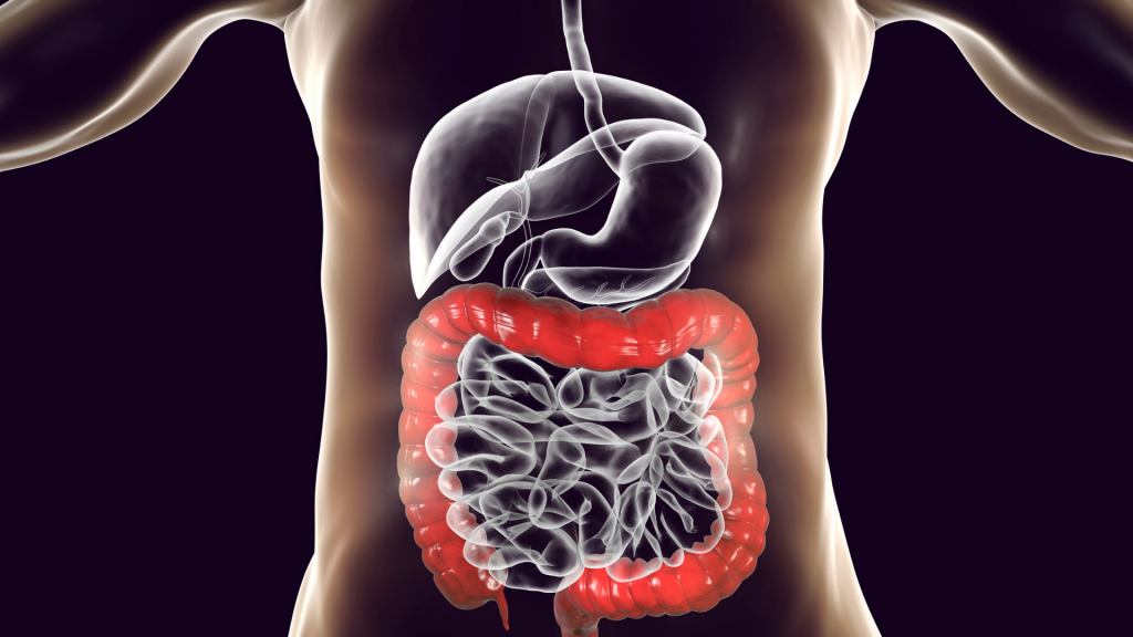 What Is Gut Health?